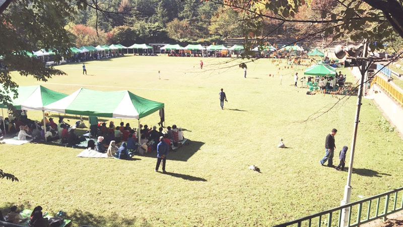 부대시설 잔디 운동장 이미지